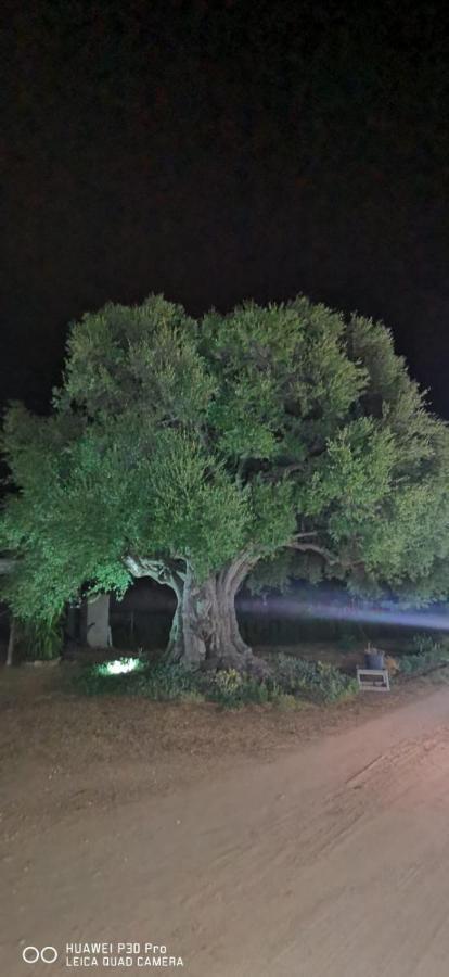 Azienda Multifunzionale S'Ozastro Marinella  Exteriör bild